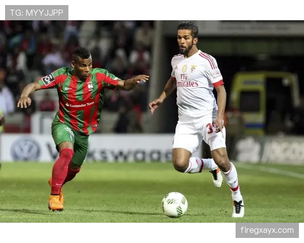 马里迪莫战术解析